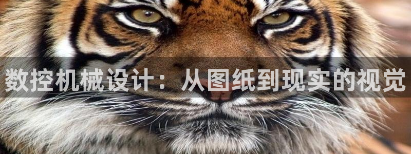 天辰娱乐软件:数控机械设计:从图纸到现实的视觉